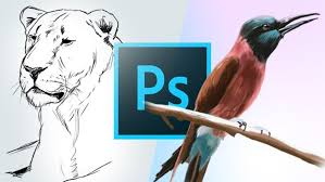 آموزش طراحی و نقاشی در فتوشاپ