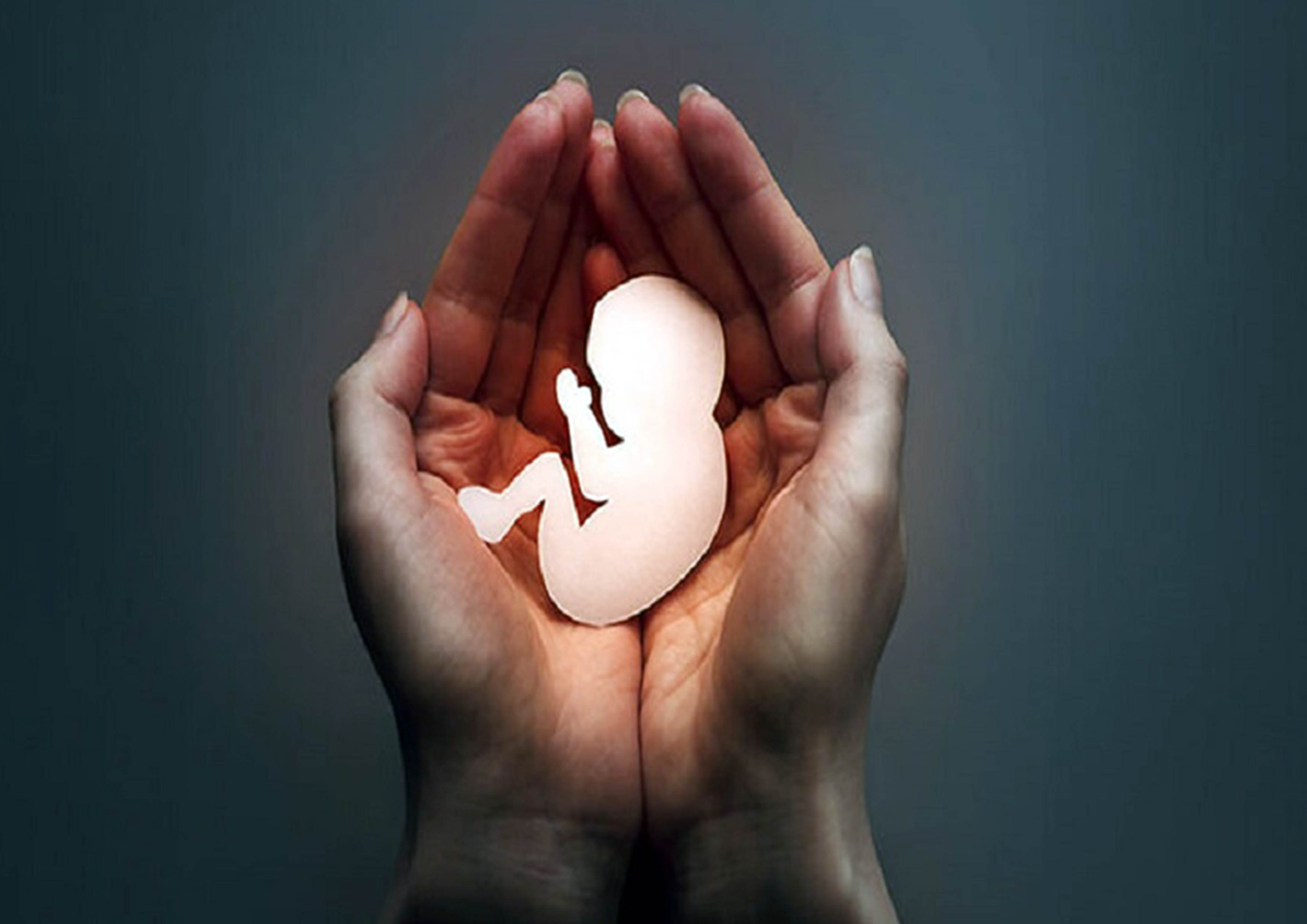 تدابیر طب ایرانی در پیشگیری از سقط جنین