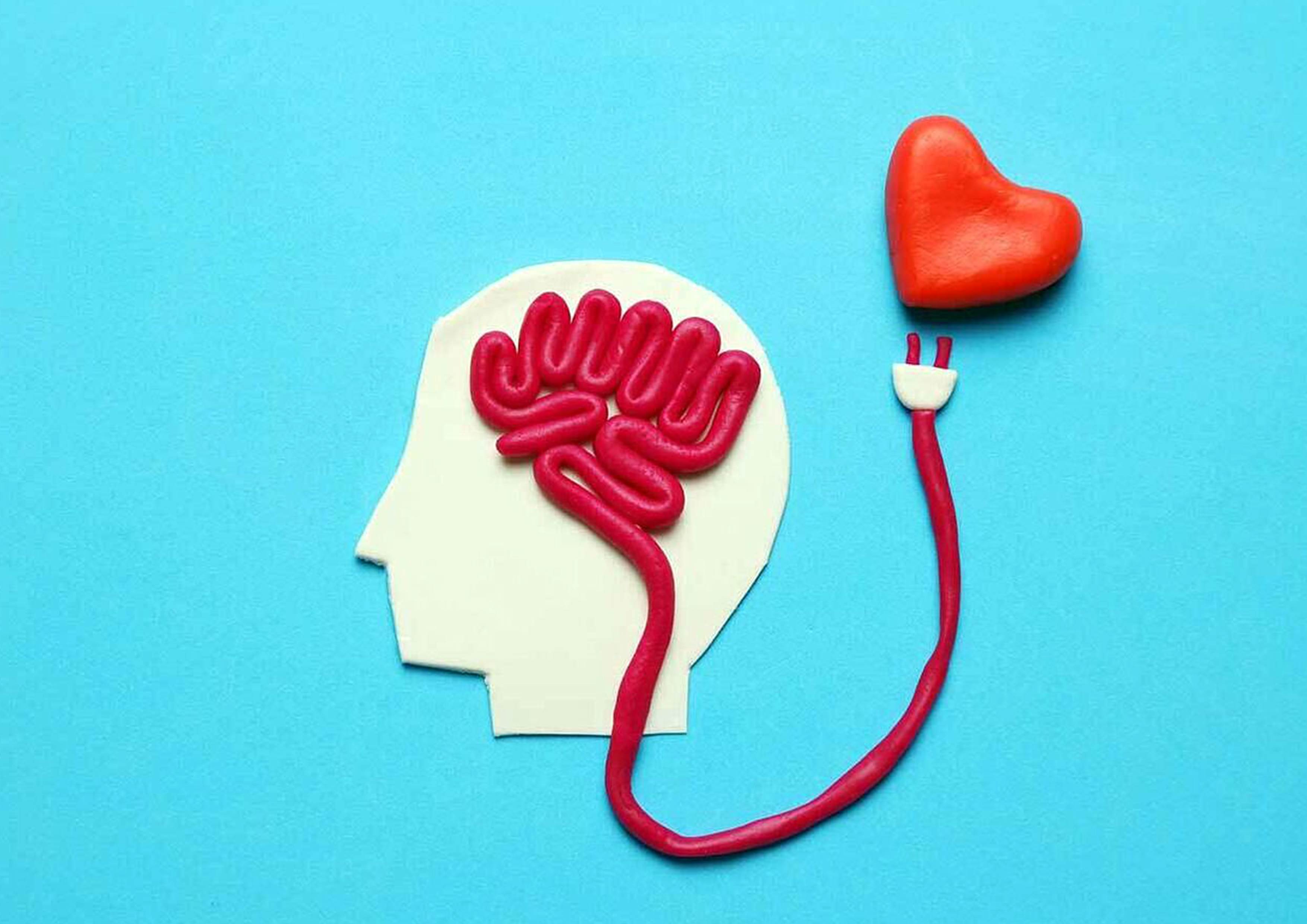 از تفاوت تا تفاهم